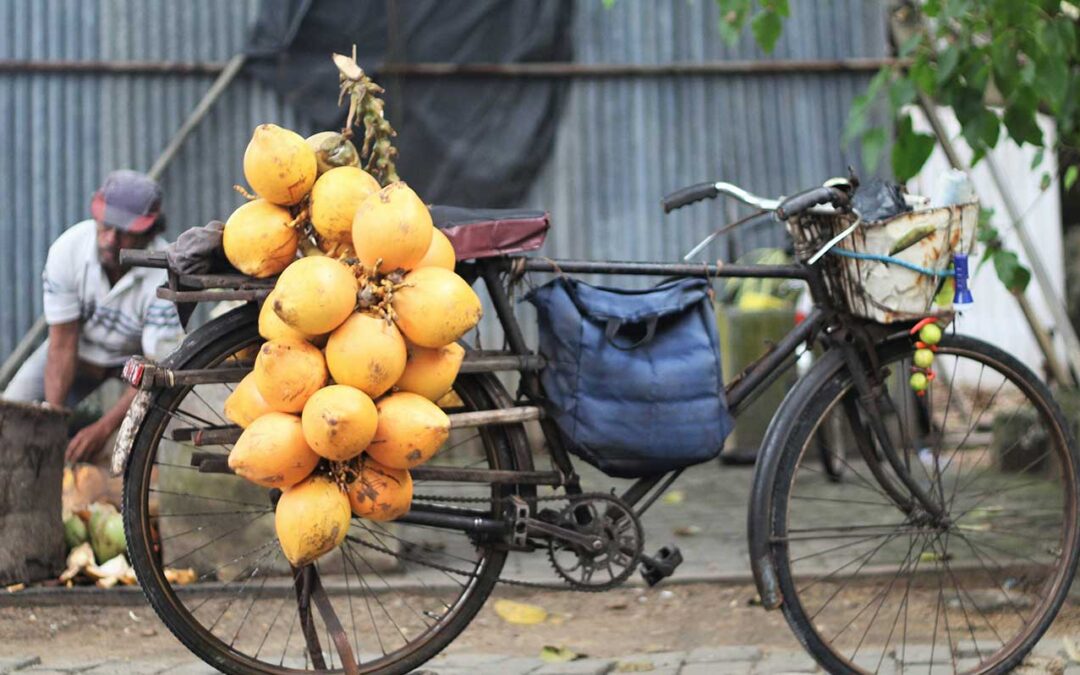 Exploring Sri Lankan Culinary Delights: A Personal Journey Through Flavors