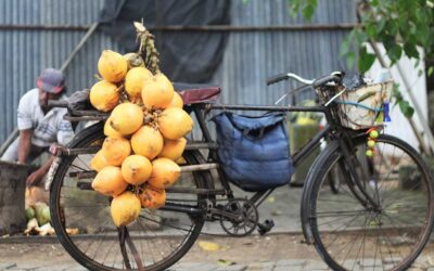 Exploring Sri Lankan Culinary Delights: A Personal Journey Through Flavors