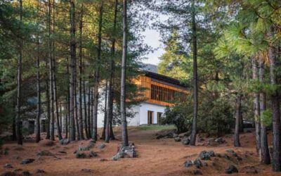Discovering Bhutan’s Finest Hotels with Timeless Heritage Tours
