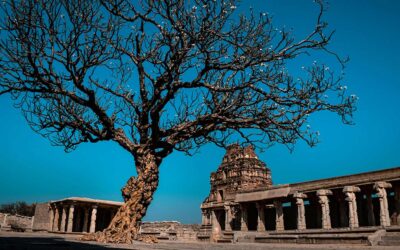 Heritage, Hills & Wildlife of Karnataka