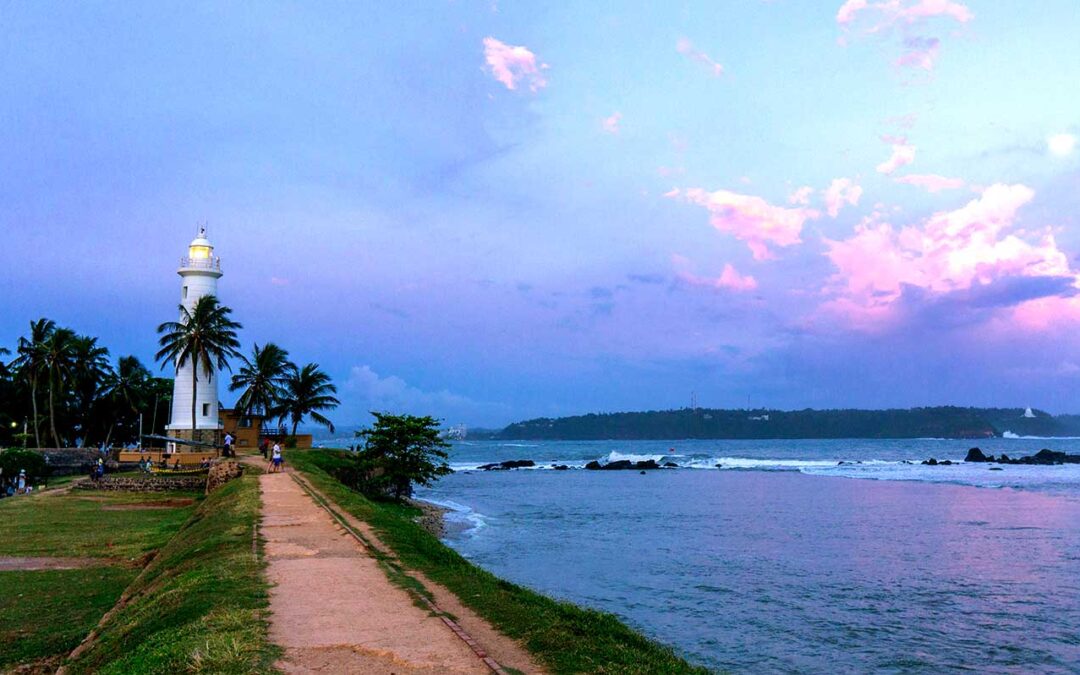South Coast, Serenity & Wildlife